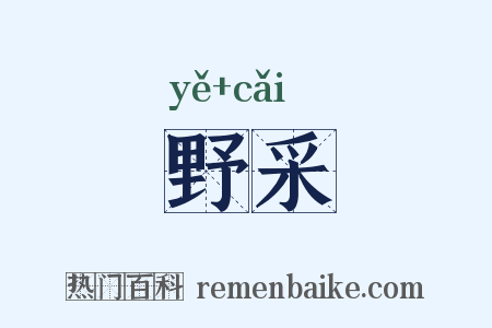 野采是什么意思的图片